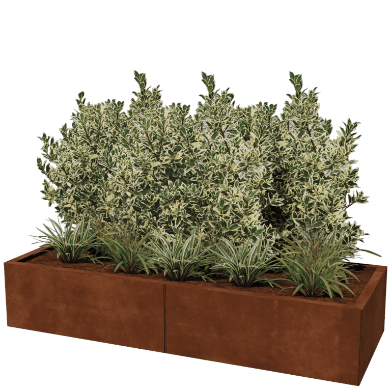 Jardinera de acero corten XXL - Rectángulo - 160 x 60 cm