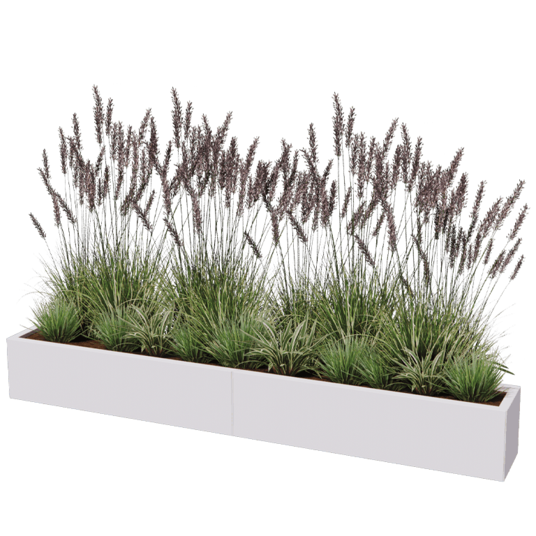Jardinera de acero XXL - Rectángulo - 240 x 30 cm