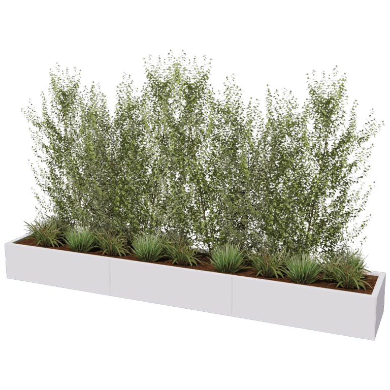 Jardinera de acero XXL - Rectángulo - 300 x 50 cm